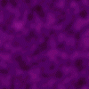 purple6.gif